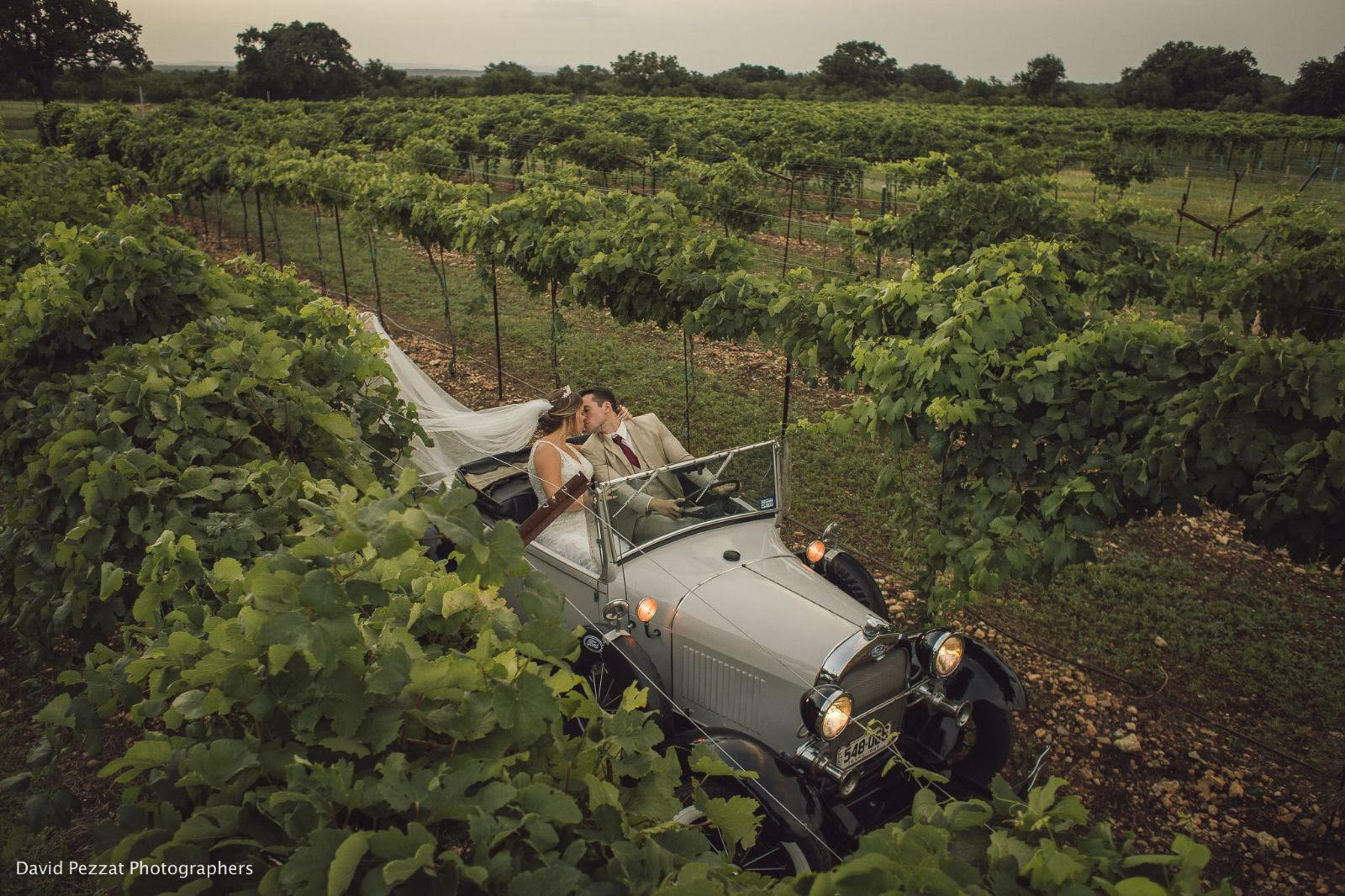 Photography: Antique Car in vineyard